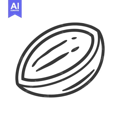 Aset desain premium: Line Drawing of a Single Coconut Half