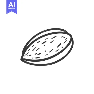 Aset premium populer: Single Almond Nut Shell Sketch Illustration