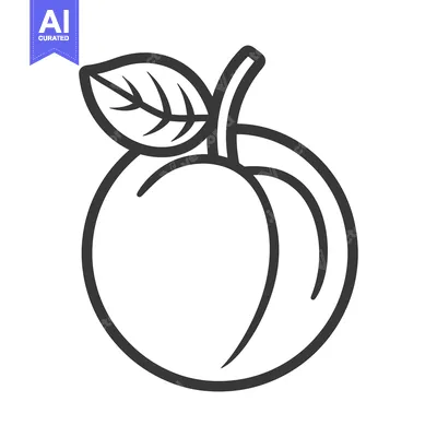 Premium design asset: Line art drawing of a single peach with a leaf