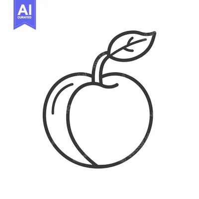 Aset desain premium: Line art drawing of a single peach with leaf