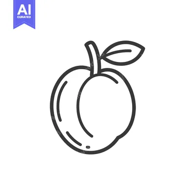 Premium design asset: Line drawing of a single apricot with a leaf
