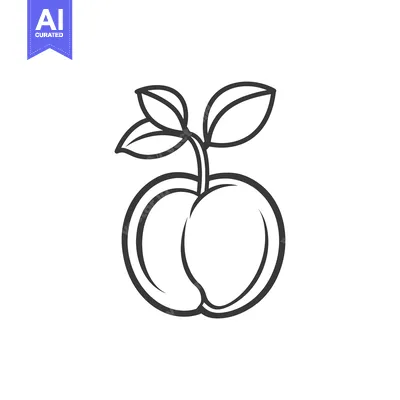 Aset desain premium: Simple Line Drawing Of A Peach With Leaves