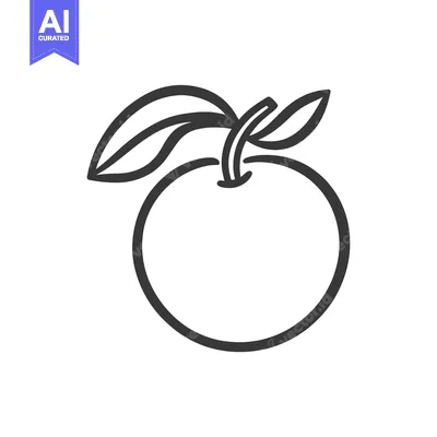 Popular premium asset: Simple Line Drawing Of An Orange With Leaves