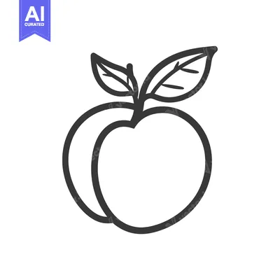 Premium design asset: Line drawing of two peaches with leaves