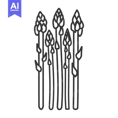 Aset desain premium: Line drawing of several asparagus spears