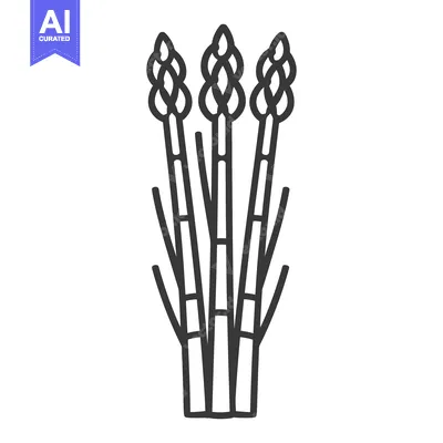 Three stalks of fresh asparagus are shown together