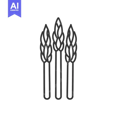 Aset desain premium: Three Asparagus Spears Line Art Illustration