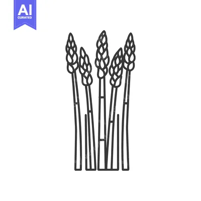 Aset premium populer: Line drawing of several asparagus spears
