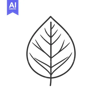 Aset premium populer: Simple Line Drawing Of A Single Leaf
