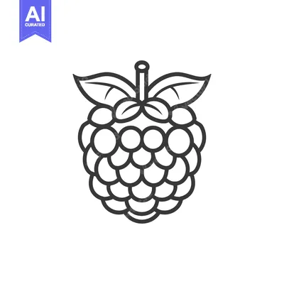 Aset desain premium: Line Drawing of a Raspberry with Leaves