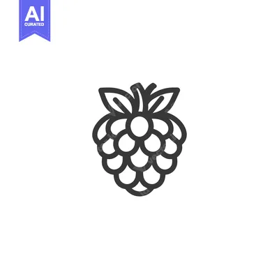 Aset premium populer: Line art illustration of a single raspberry
