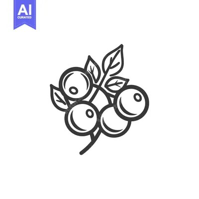 Aset premium populer: Line drawing of blueberries on a branch with leaves