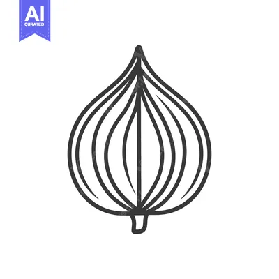 Line drawing of a single onion vegetable