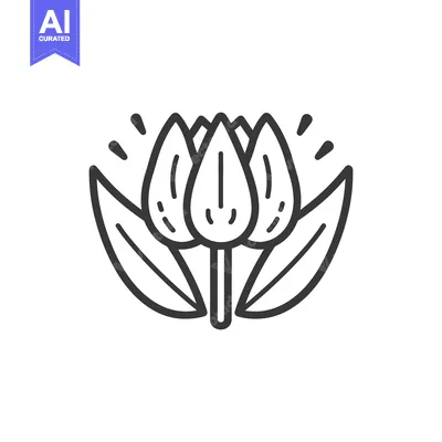 Simple Line Drawing Of A Three Petal Flower