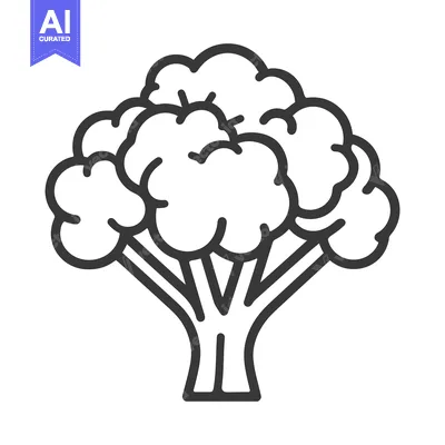 Aset premium populer: Line art drawing of a broccoli vegetable