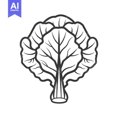 Aset premium populer: A Simple Line Drawing Of A Cabbage Head