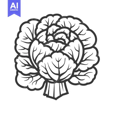 Aset premium populer: A stylized illustration of a cabbage head