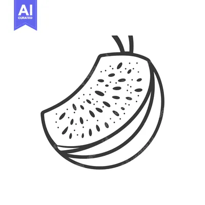 Popular premium asset: A Simple Line Drawing Of A Sliced Kiwi Fruit