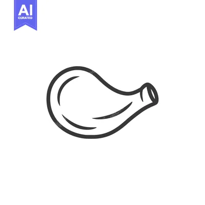 Aset premium populer: Line drawing of a single chicken drumstick