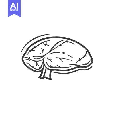 Hand Drawn Sketch of a Human Brain