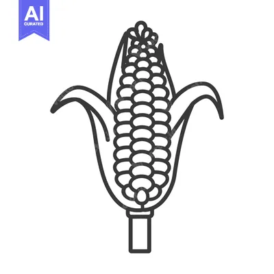 Popular premium asset: An illustration of an ear of corn with leaves
