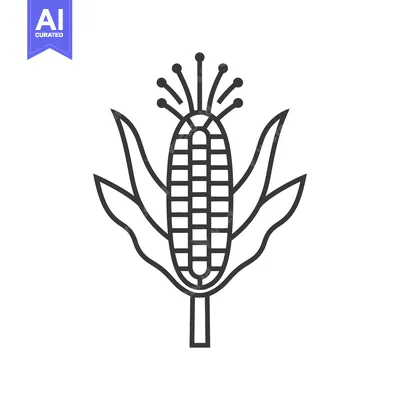 Aset premium populer: Line art illustration of an ear of corn