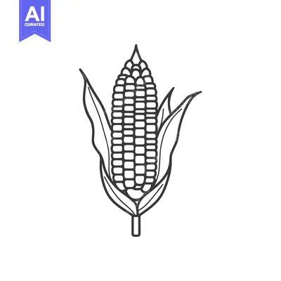 Aset desain premium: An illustration of an ear of corn with leaves