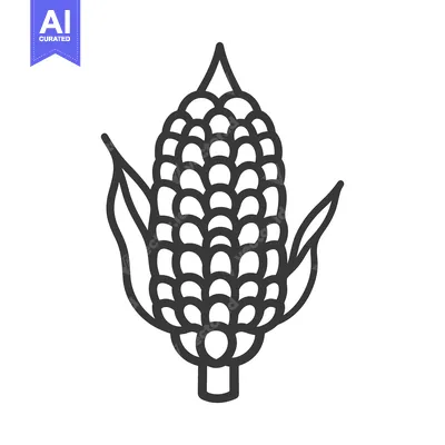 Aset desain premium: An illustration of a single ear of corn