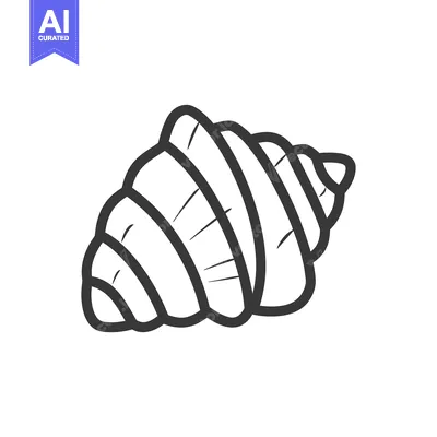 A Simple Line Drawing Of A Seashell