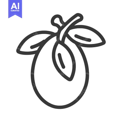 Aset premium populer: Line art drawing of a single plum with leaves