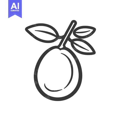 Aset desain premium: Simple Line Drawing Of A Single Plum With Leaves