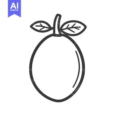 Simple Line Drawing Of A Lemon With Leaves