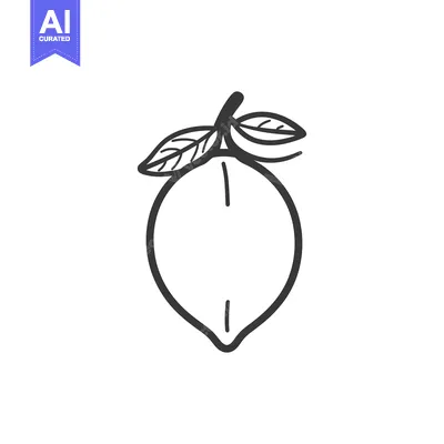 Aset premium populer: Simple Line Drawing Of A Lemon With Leaves