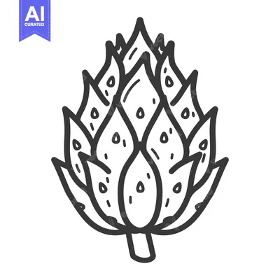 A Line Drawing of an Artichoke Vegetable