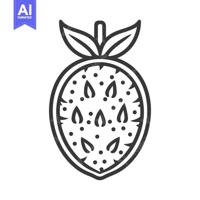Line drawing of a halved cacao fruit showing seeds