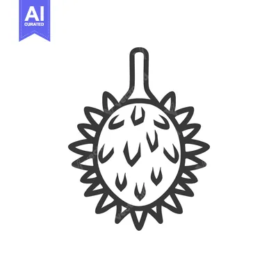 Aset premium populer: Line drawing of a spiky tropical fruit