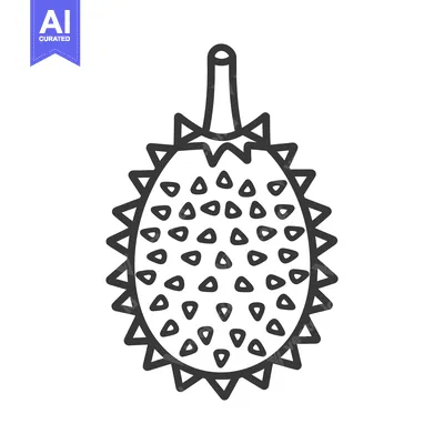 Aset desain premium: Line drawing of a spiky tropical fruit