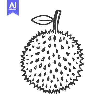 A Line Drawing Of A Durian Fruit With A Leaf