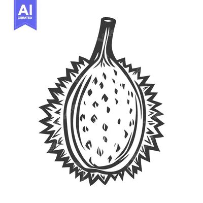 A Detailed Drawing of a Durian Fruit