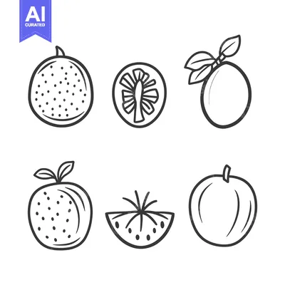 Simple Line Drawings Of Whole And Halved Citrus Fruits