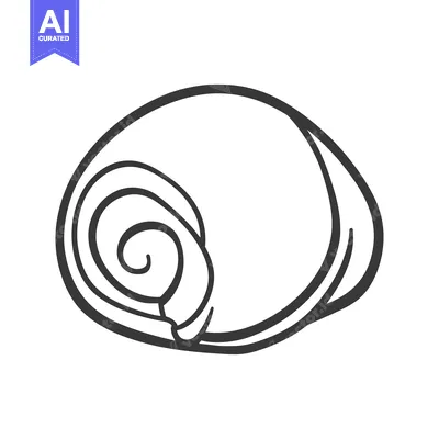 Premium design asset: This image presents a single seashell in a simplistic drawing