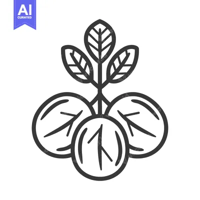 Popular premium asset: A stylized illustration depicting three round fruits and leaves