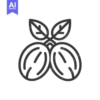 Aset desain premium: Two stylized coffee beans with leaves are shown above