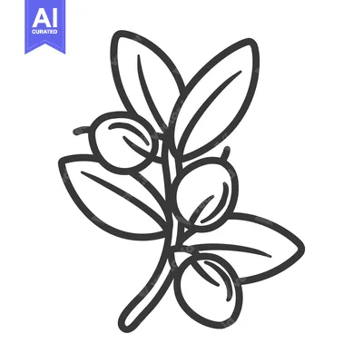 Aset premium populer: A simple black and white illustration of a plant branch
