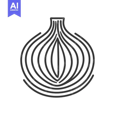 A linear illustration shows an onion cut in half vertically