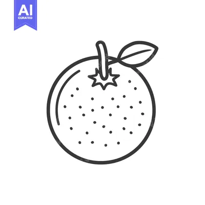 Aset desain premium: Simple black and white line drawing of a ripe orange
