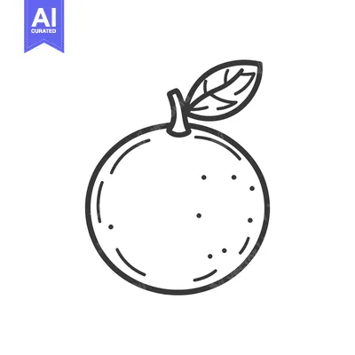 Aset desain premium: Simple black and white illustration of a whole citrus fruit