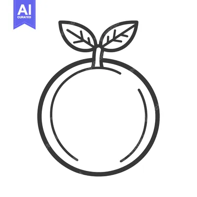 Premium design asset: A simple black and white illustration of a citrus fruit