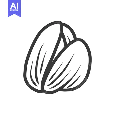 Two stylized almond nuts shown in black and white outline