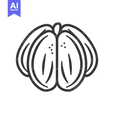 Premium design asset: An illustration featuring a simplified opened citrus fruit design
